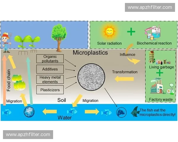 体育评估与运动表现提升的科学方法及实践应用分析